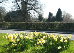 Church in Spring - taken by Kris Hayward