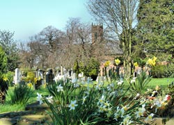 Church in Spring - taken by Kris Hayward