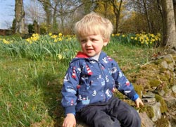 Sam in Spring - taken by Jo Rodman