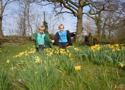 Twins in Spring - taken by Jo Rodman