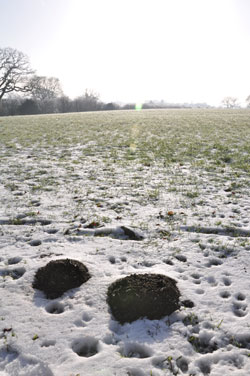 Woodford Community Council Winter Sun Photo Competition Entry
