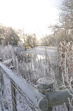 Woodford Community Council Winter Sun Photo Competition Entry
