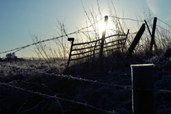 Woodford Community Council Winter Sun Photo Competition Entry