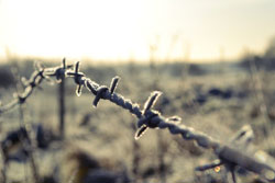 Woodford Community Council Winter Sun Photo Competition Entry