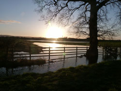 Woodford Community Council Winter Sun Photo Competition Entry