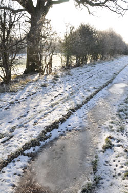 Woodford Community Council Winter Sun Photo Competition Entry