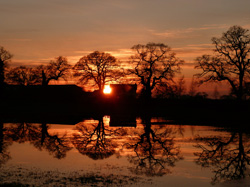 Woodford Community Council Winter Sun Photo Competition Entry