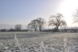 Woodford Community Council Winter Sun Photo Competition Entry