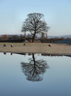 Woodford Community Council Winter Sun Photo Competition Entry