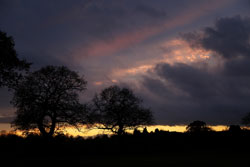 Woodford Community Council Winter Sun Photo Competition Entry