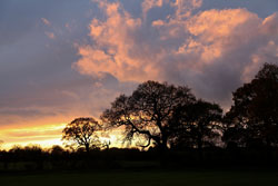 Woodford Community Council Winter Sun Photo Competition Entry