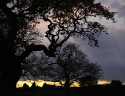 Woodford Community Council Winter Sun Photo Competition Entry
