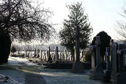 Woodford Community Council Winter Sun Photo Competition Entry